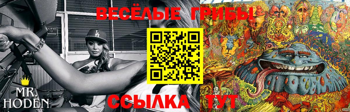 Псилоцибиновые грибы GOLDEN TEACHER Углич
