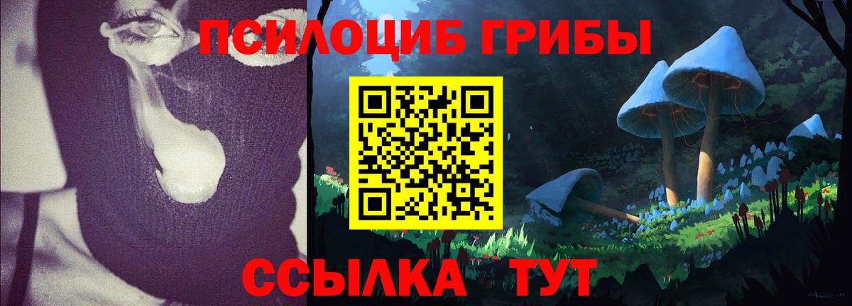 Галлюциногенные грибы GOLDEN TEACHER  Псилоцибиновые грибы GOLDEN TEACHER  Углич  Вход с VPN 